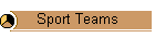 Sport Teams