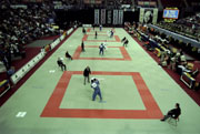 Picture from Judo games. In view the Judo mat (tatami), athletes competing under the main referee's supervision and two judges on either side of the tatami. Photo: Allsport